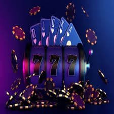 244bet